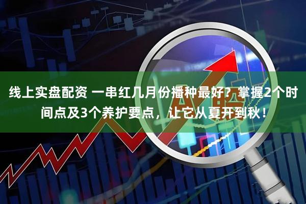 线上实盘配资 一串红几月份播种最好？掌握2个时间点及3个养护要点，让它从夏开到秋！